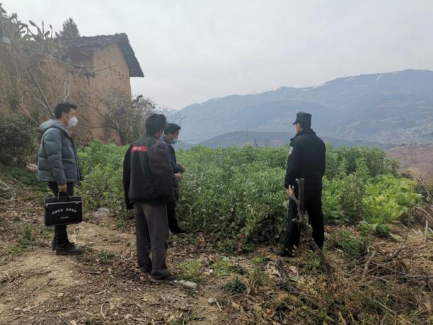 图片2.jpg