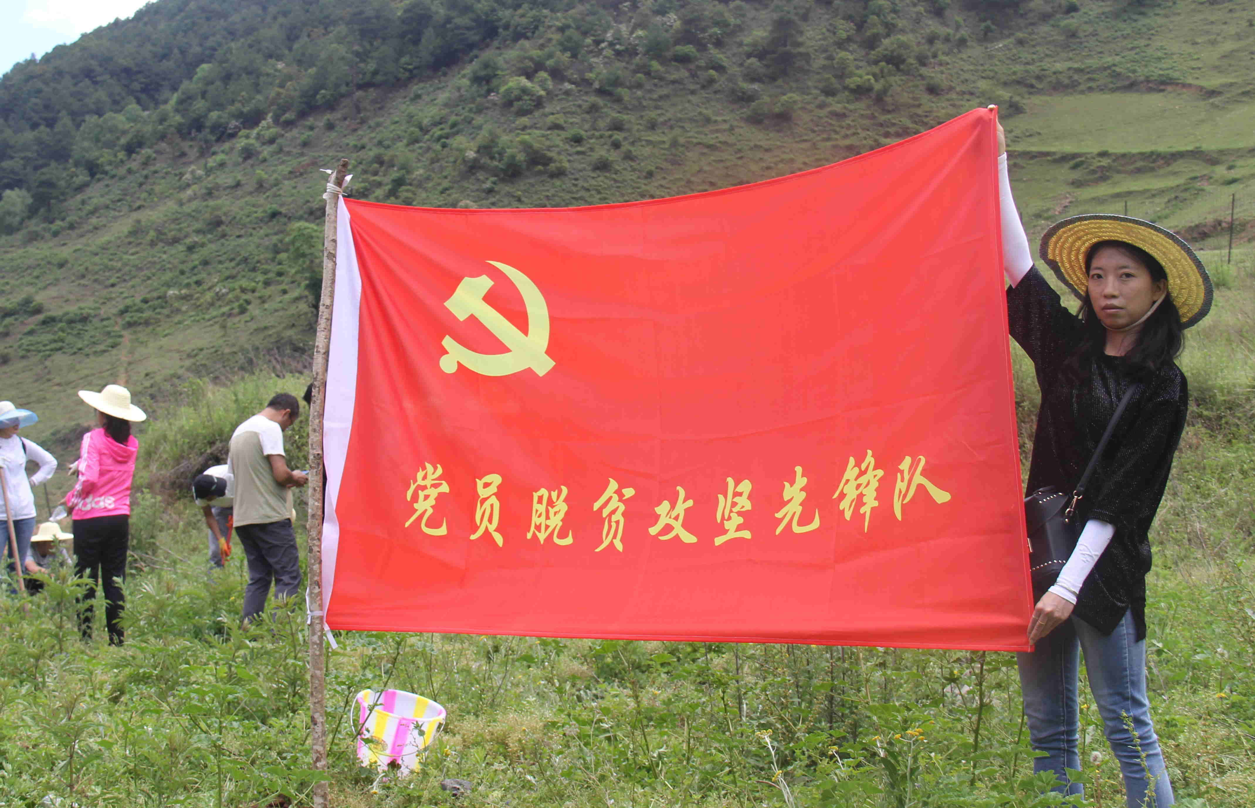 图片1_看图王(2).jpg